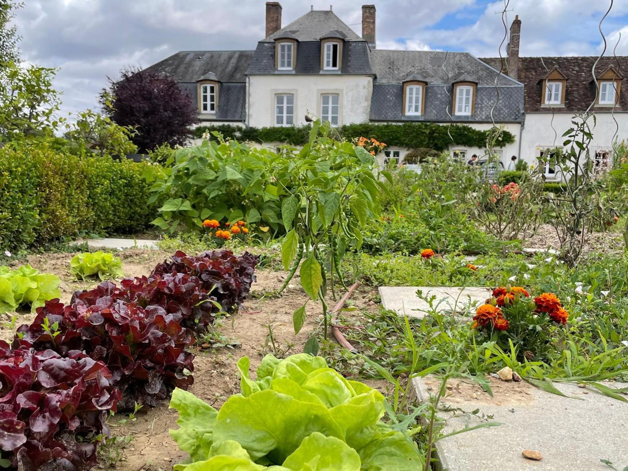 Paucourt **Suite Familiale Spacieuse Au Coeur De La Foret De Montargis** - Fr-1-590-335 מראה חיצוני תמונה